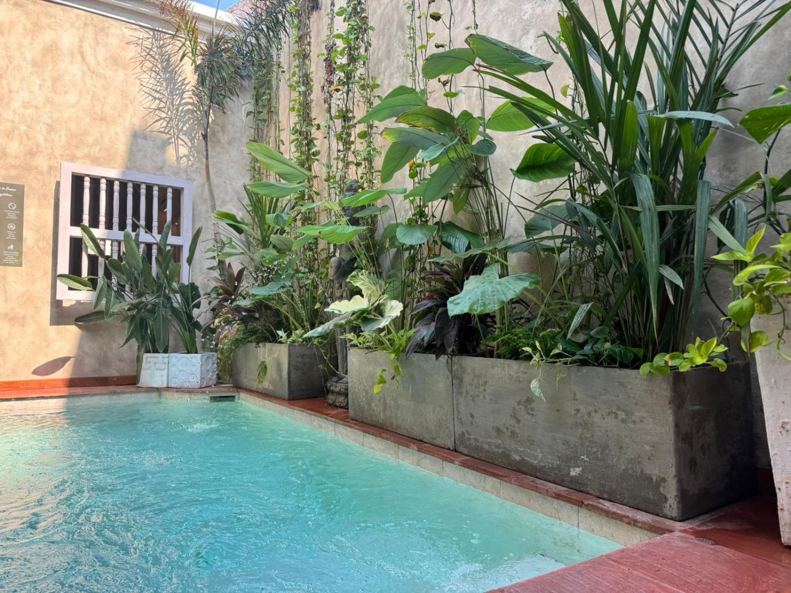 Moet Cartagena Hotel Boutique Adutls Only Zewnętrze zdjęcie